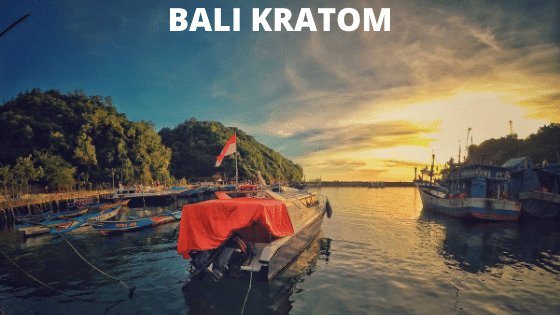 Bali kratom