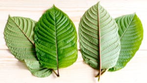 What are kratom colors