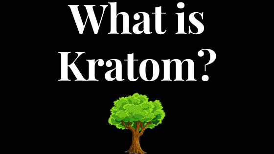 what is kratom buy kratom online