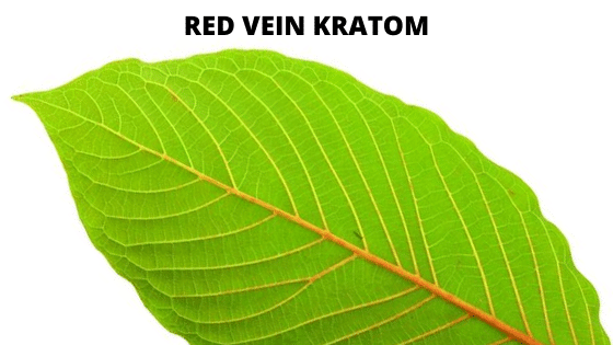 Red vein Kratom