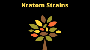 kratom alkaloids