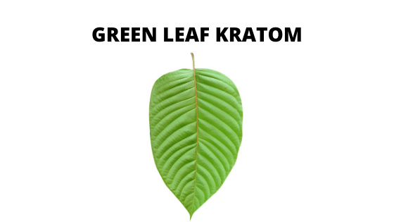 green leaf kratom