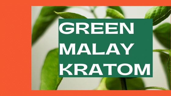 green malay kratom