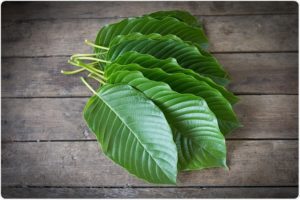 is kratom legal in us