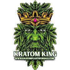 kratom king brand review