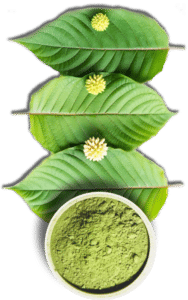 what is a leaf of kratom