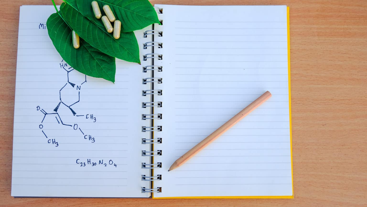 Best Kratom Vendor Reddit Green Leaf Kratom Guide